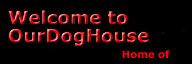 Welcome to OurDogHouse